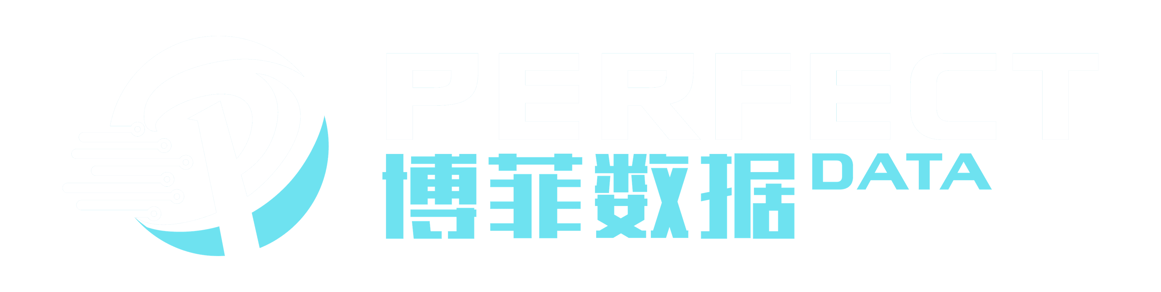 博菲数据 PERFECT DATA