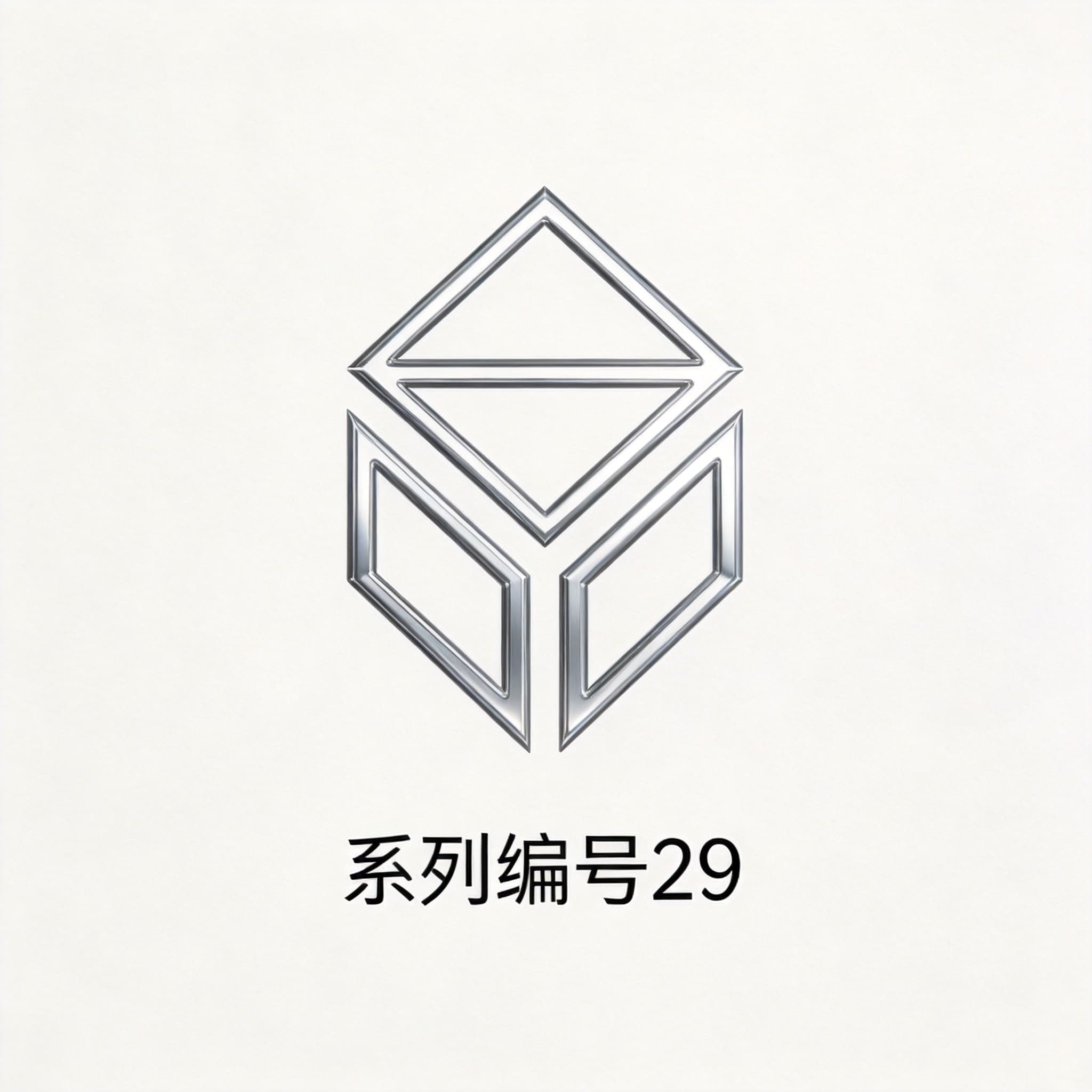 客户 29