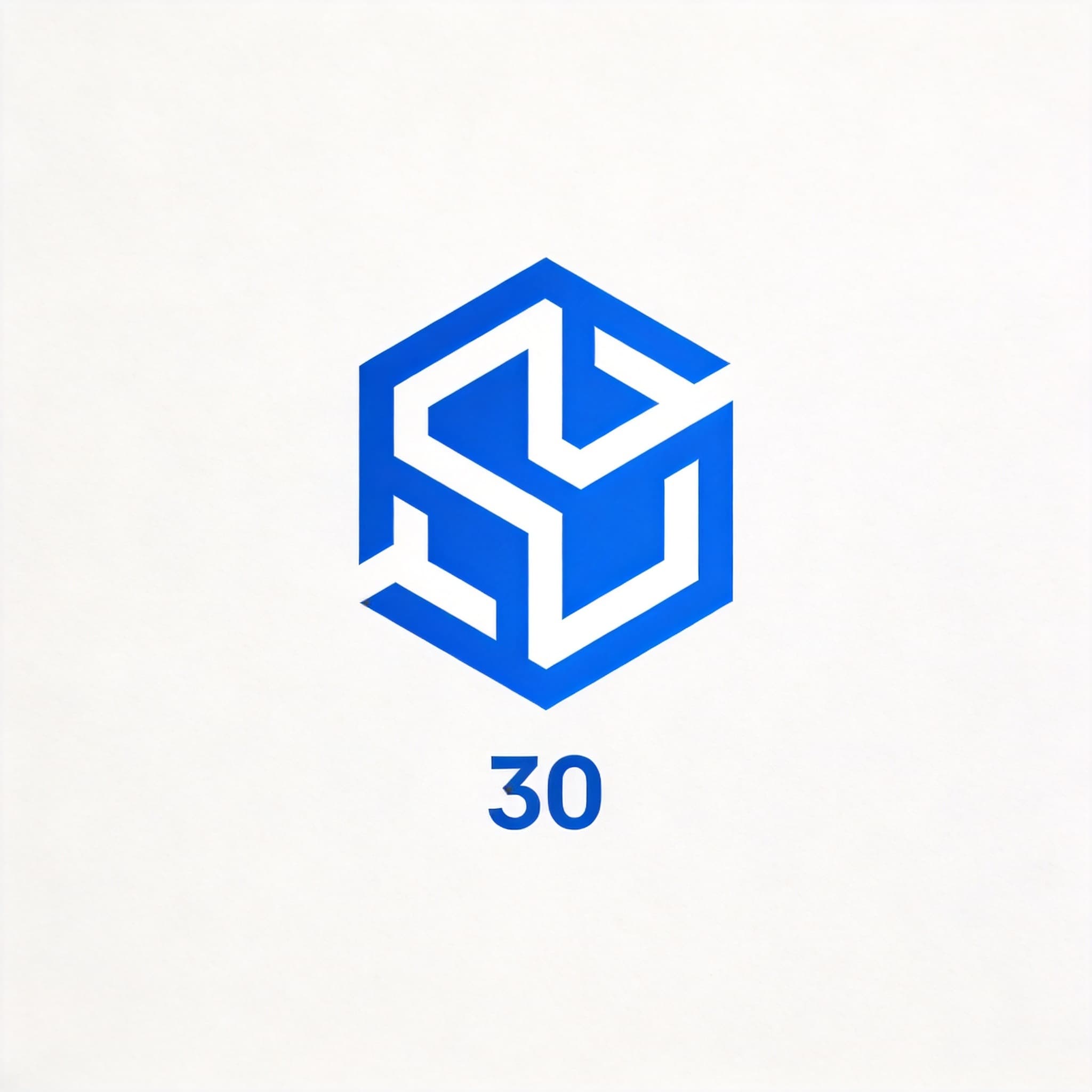 客户 30